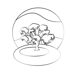 Weeping willow black and white clipart