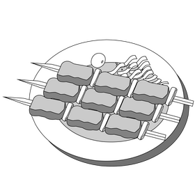 Shashlik kebab black and white clipart