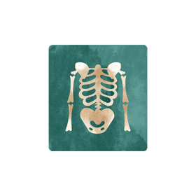 X ray clipart