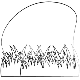 Grass black and white clipart