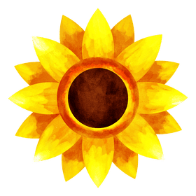 Sunflower clipart