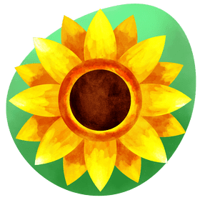 Sunflower vector