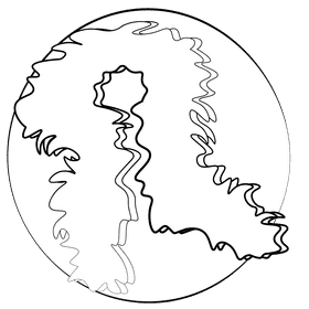 Feather boa black and white clipart