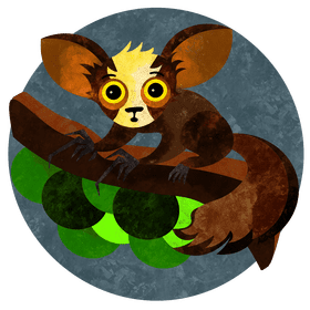 Aye aye vector
