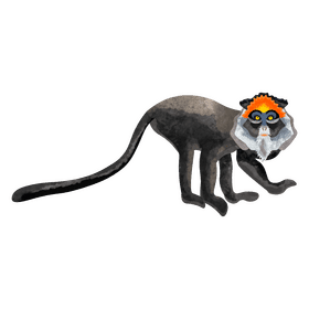 De brazza's monkey clipart