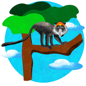 De brazza's monkey vector