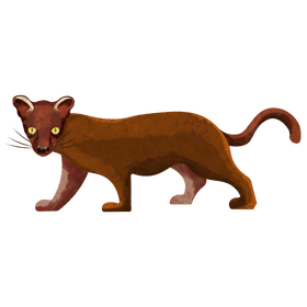 Fossa clipart