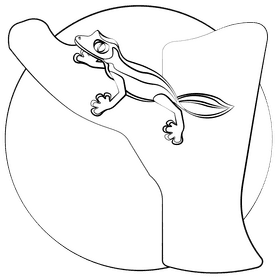 Leaf tailed gecko black and white clipart