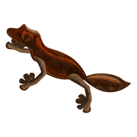 Leaf tailed gecko clipart