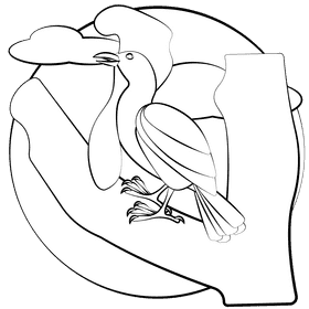 Long wattled umbrella bird black and white clipart