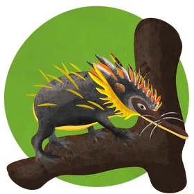 Lowland streaked tenrec vector