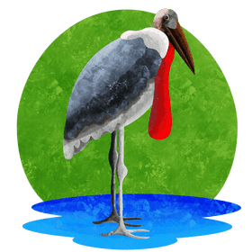 Marabou stork vector
