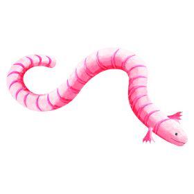 Mexican mole lizard clipart