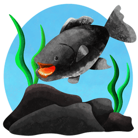 Pacu vector
