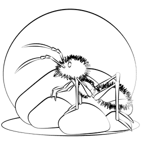 Panda ant black and white clipart
