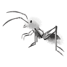 Panda ant clipart