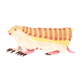 Pink fairy armadillo clipart