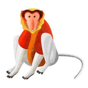 Proboscis monkey clipart