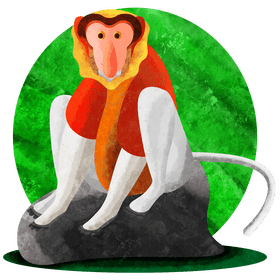 Proboscis monkey vector