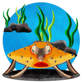 Red lipped batfish vector