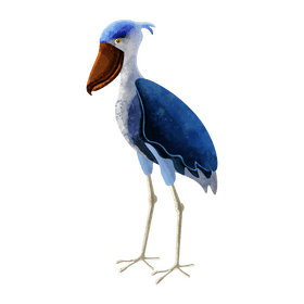 Shoebill clipart