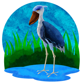 Shoebill vector