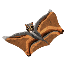 Sunda colugo clipart