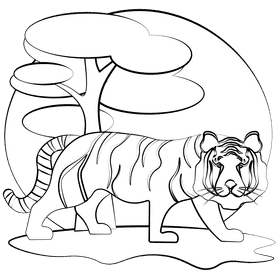 White tiger black and white clipart