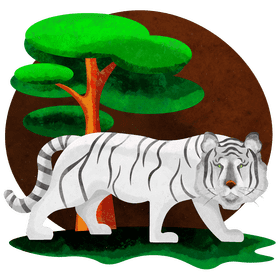 White tiger vector