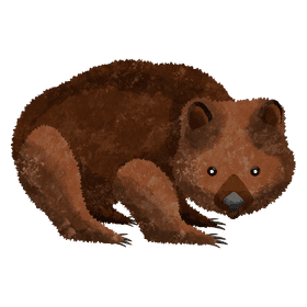 Wombat clipart
