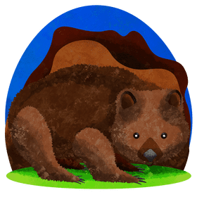Wombat vector