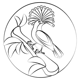Amazonian royal flycatcher black and white clipart