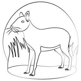 Argentinian patagonian mara black and white clipart