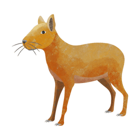 Argentinian patagonian mara clipart