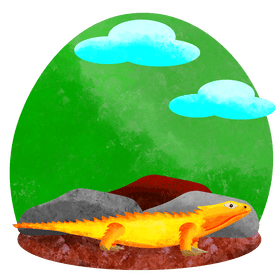 Armadillo girdled lizard vector