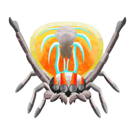 Australian peacock spider clipart