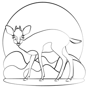 Dik dik deer black and white clipart