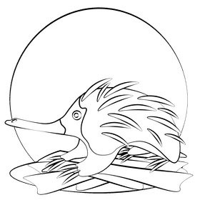 Echidna black and white clipart