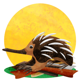 Echidna vector