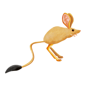 Gobi jerboa clipart