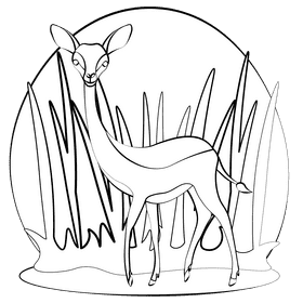 Gerenuk black and white clipart