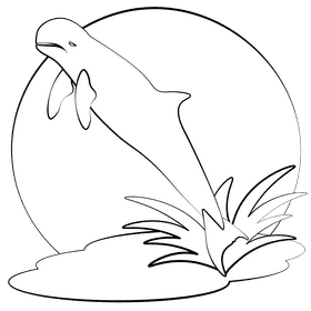 Irrawaddy dolphin black and white clipart