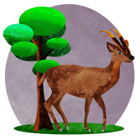 Southern red muntjac vector
