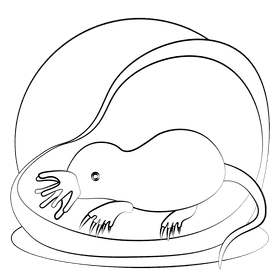 Star nosed mole black and white clipart