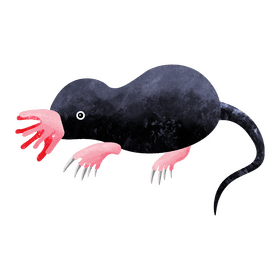 Star nosed mole clipart