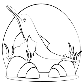 Amazon river dolphin black and white clipart