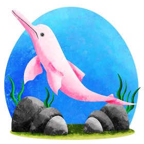 Amazon river dolphin vector