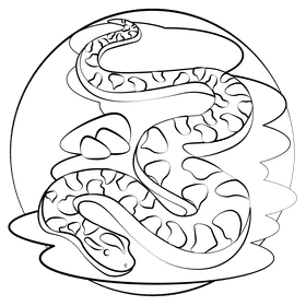 Anaconda black and white clipart