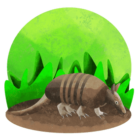Armadillo vector