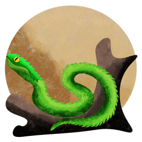 Bush viper vector